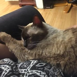 Meet your Posher, Kim